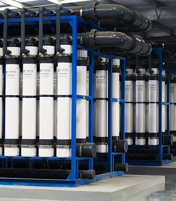 24848����˹(�й���)���޹�˾����