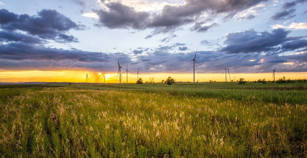 24848����˹(�й���)���޹�˾����