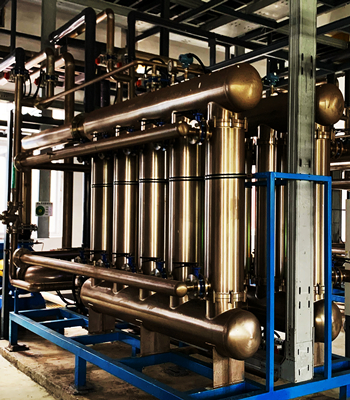 24848����˹(�й���)���޹�˾����